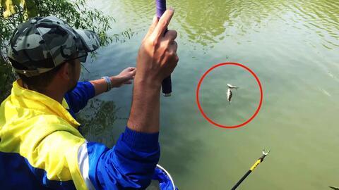 国产超快钓虫竿评测视频,性能卓越，钓鱼利器揭秘