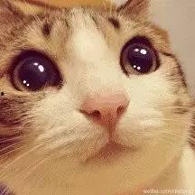 瓜皮国产福利视频,瓜皮界的视觉盛宴